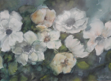 DSC00935 witte bloemen  dlb