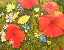 Plukweitje-groot-verkocht