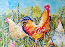 Haantje-de-voorste